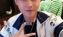 村花许华升团队爆料视频,独家内幕大公开